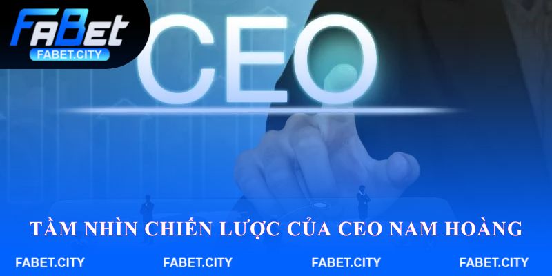 Tầm nhìn chiến lược của CEO Nam Hoàng trong tương lai