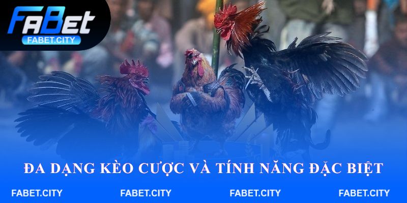 Đa dạng kèo cược và tính năng đặc biệt khi đá gà Fabet