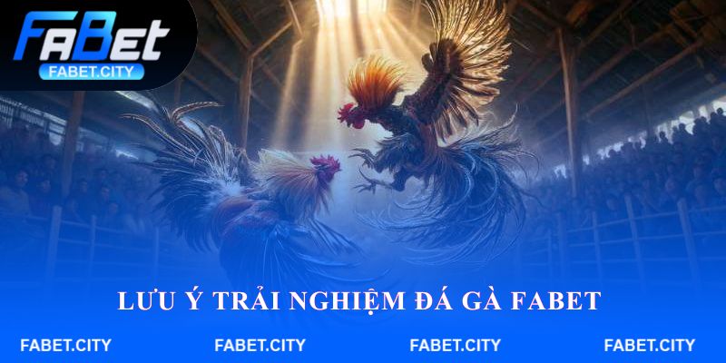 Lưu ý trải nghiệm đá gà Fabet