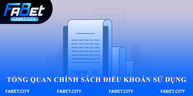 Tổng quan chính sách Điều khoản sử dụng